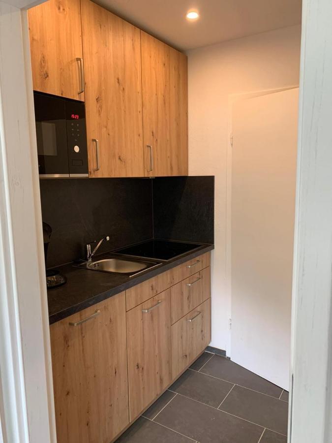Haus Am Sonnenberg,Todtnauberg, Ferienwohnung 105, Direkt Am Skilift-Skipiste, Naehe Feldberg Екстериор снимка
